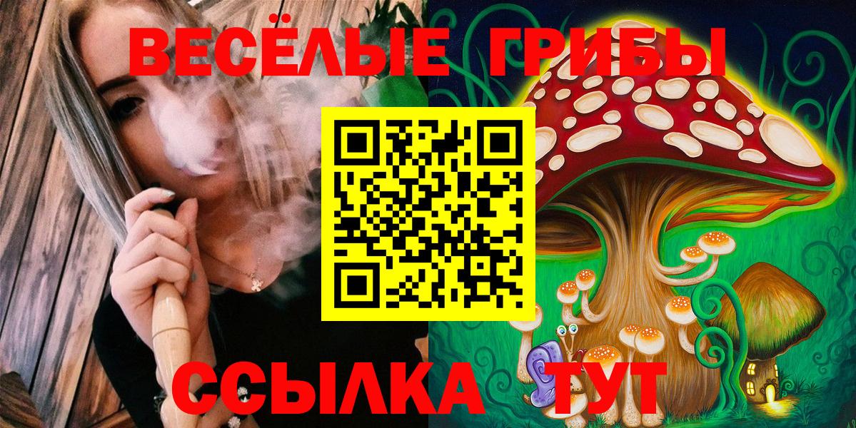 Усть-Илимск  купить наркоту  Вход с VPN  Псилоцибиновые грибы Cubensis  Галлюциногенные грибы Psilocybine cubensis 